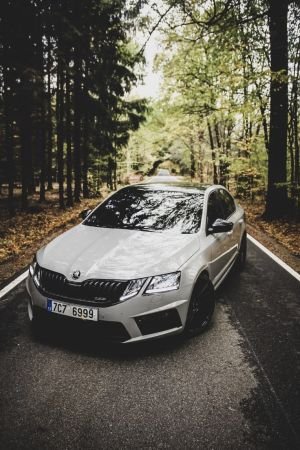 Wallpaper