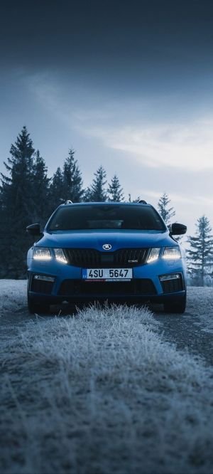 Wallpaper