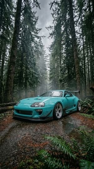 Wallpaper